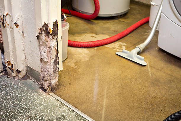 emergency basement leak repair company Ada, OK